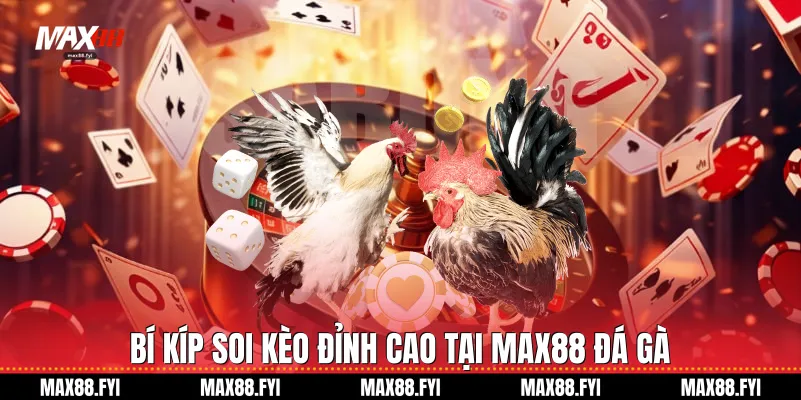 Bí kíp soi kèo đỉnh cao tại Max88 Đá gà