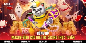 Rồng hổ