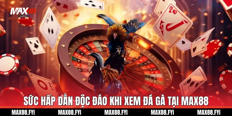 Sức hấp dẫn độc đáo khi xem Đá gà tại Max88